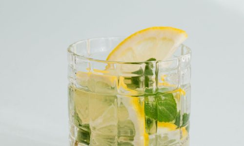 Chilled cocktail with lemon slices and mint leaves in a clear glass, perfect for refreshment.